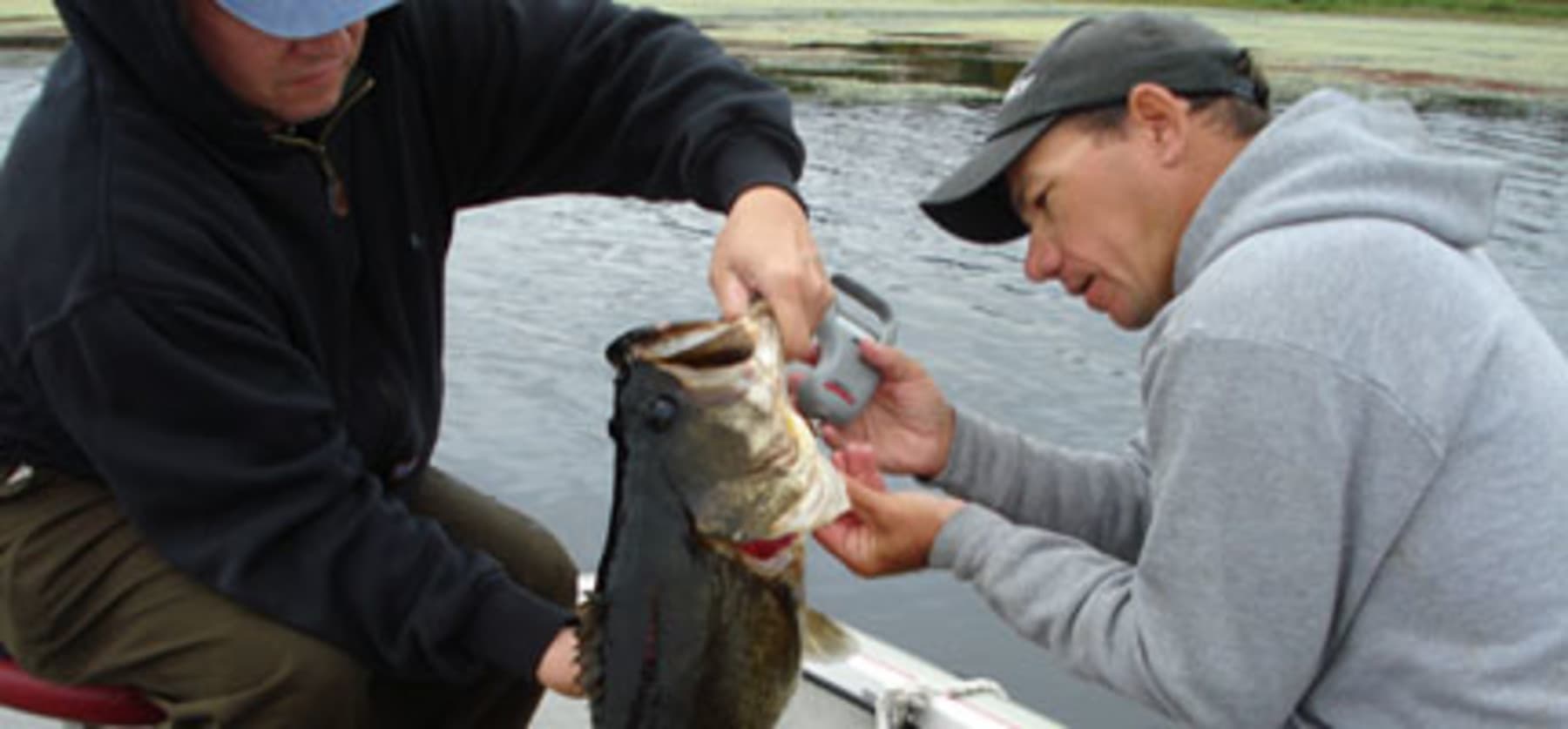 kissimmee-1578_Guided_Bass_Tours_webready_main_c54a58d3-5056-a36a-0be9f7e4ac5a1a75.jpg